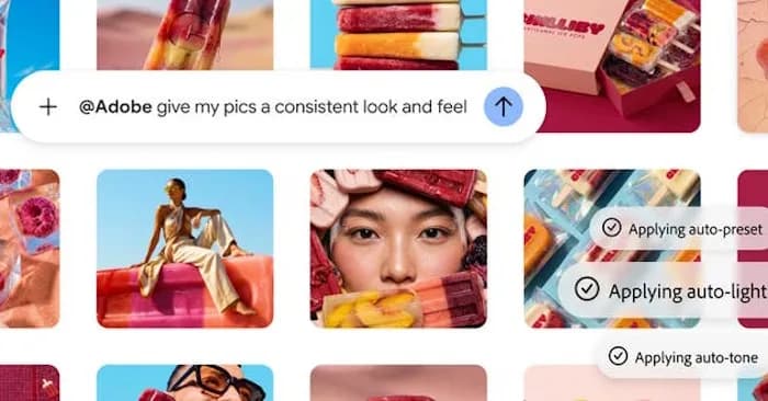 Hướng dẫn cách sử dụng công cụ Adobe trực tiếp trong Gemini cực chi tiết
